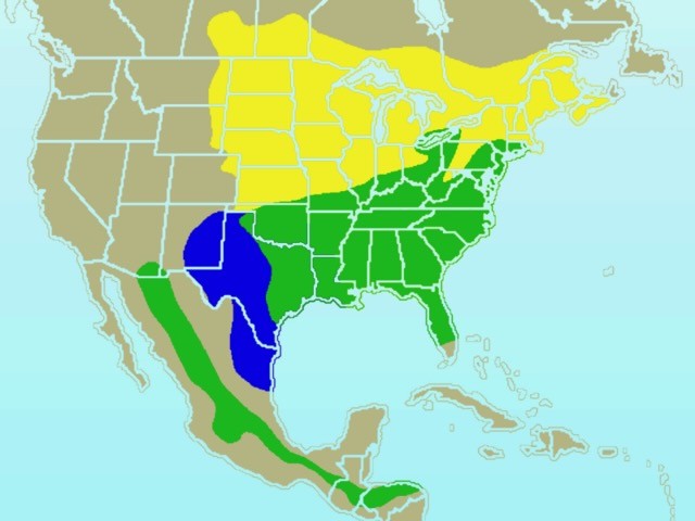 Eastern Bluebird-rangemap.png by Ken Thomas is available through Public Domain
